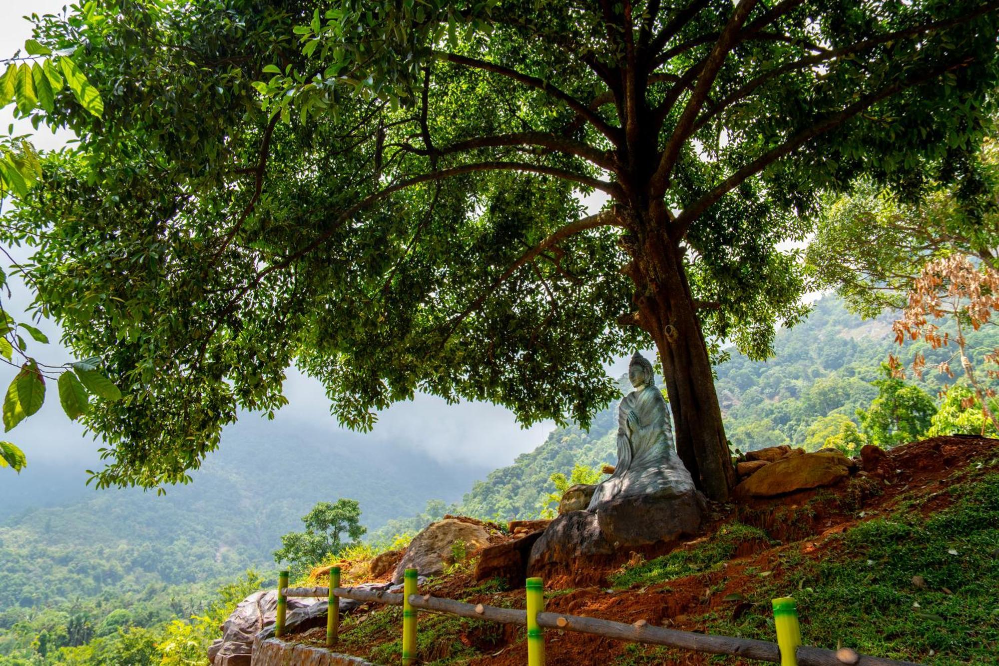 Karimb Resorts Vallikavungal Buitenkant foto