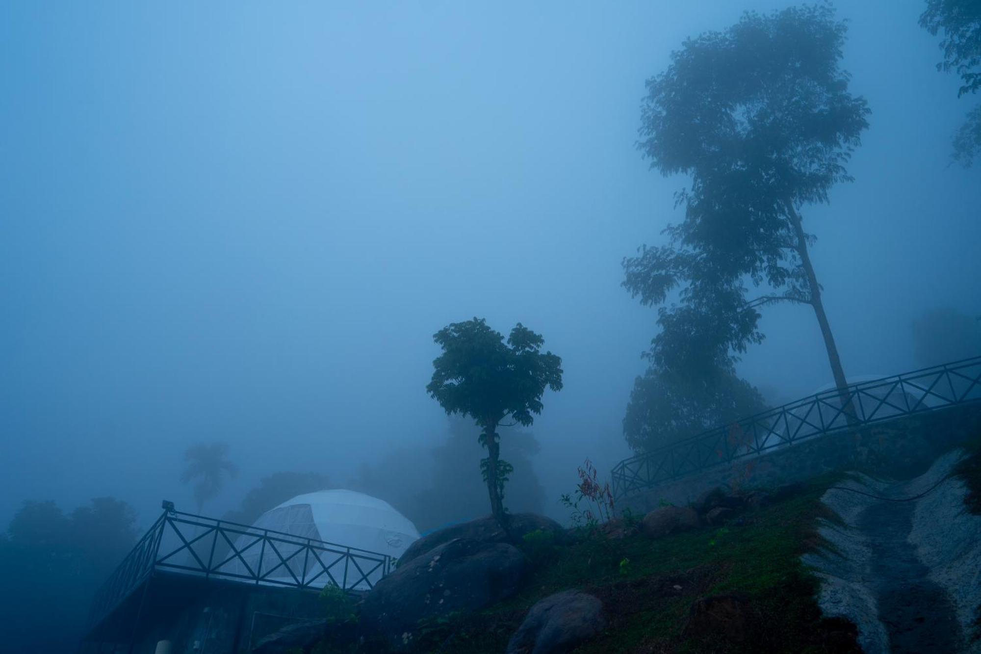 Karimb Resorts Vallikavungal Buitenkant foto